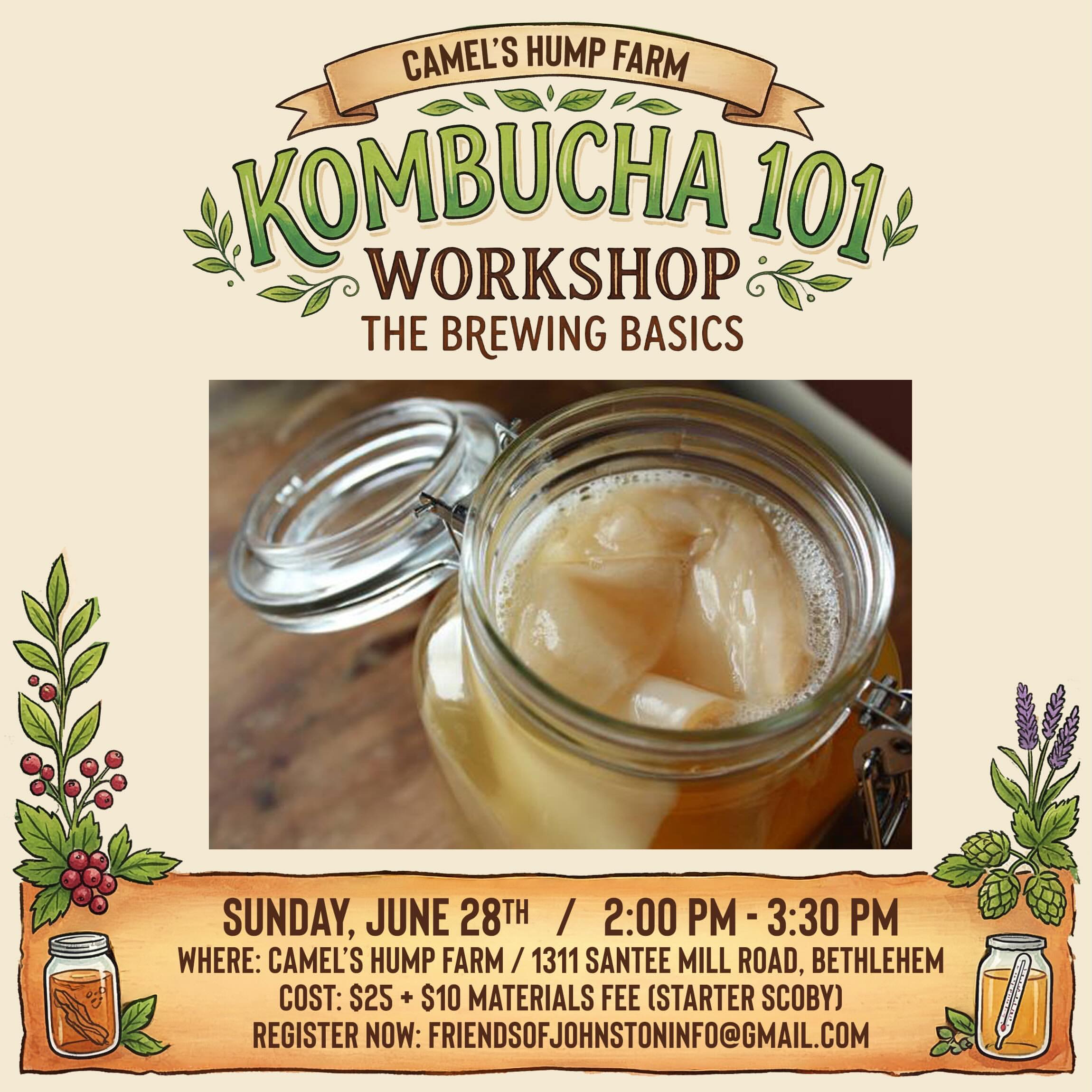 Kombucha 101: Brewing Basics