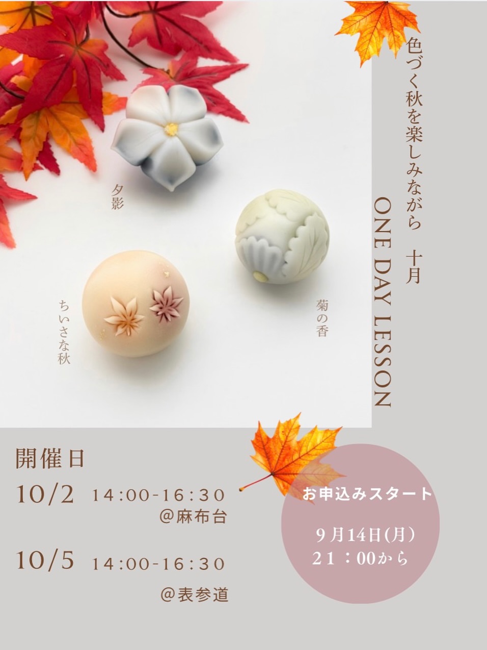 One Day Nerikiri Wagashi Autumn Lesson (Day 1 of 2)