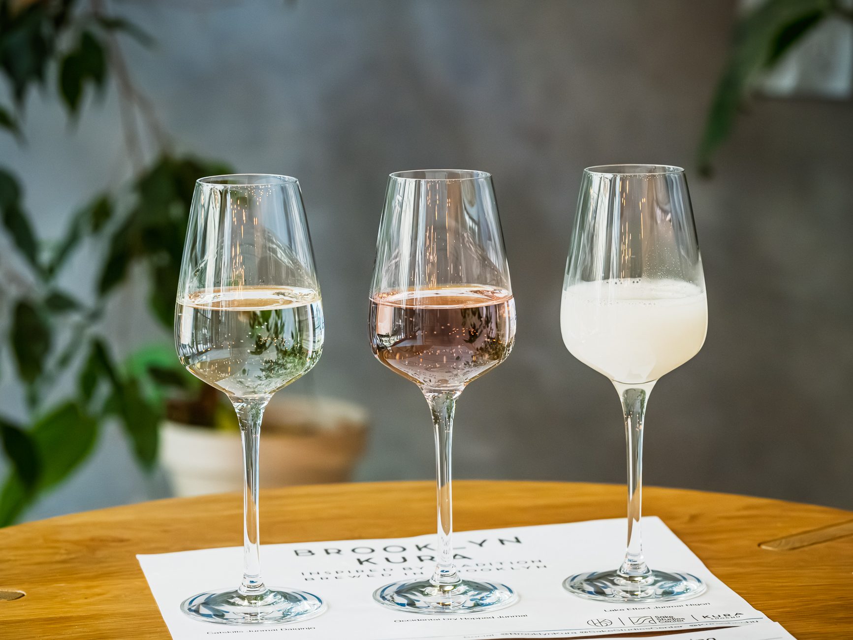 Guided Brewery Tour and Sake Tasting